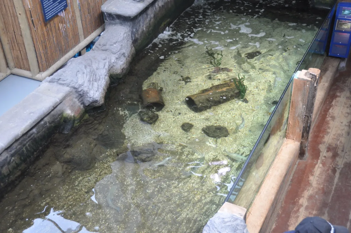 Blue Reef Aquarium