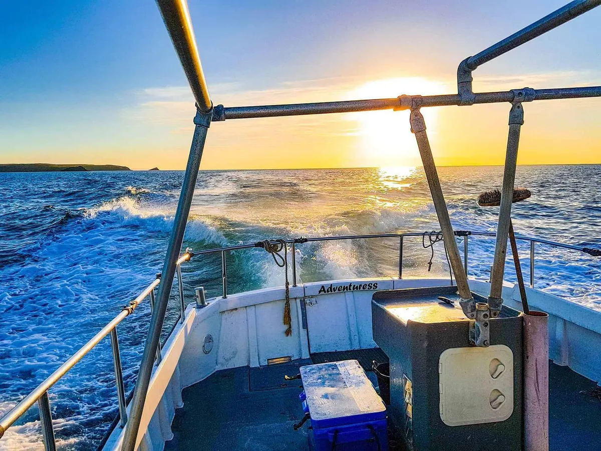 Fishing Trips From Newquay Harbour