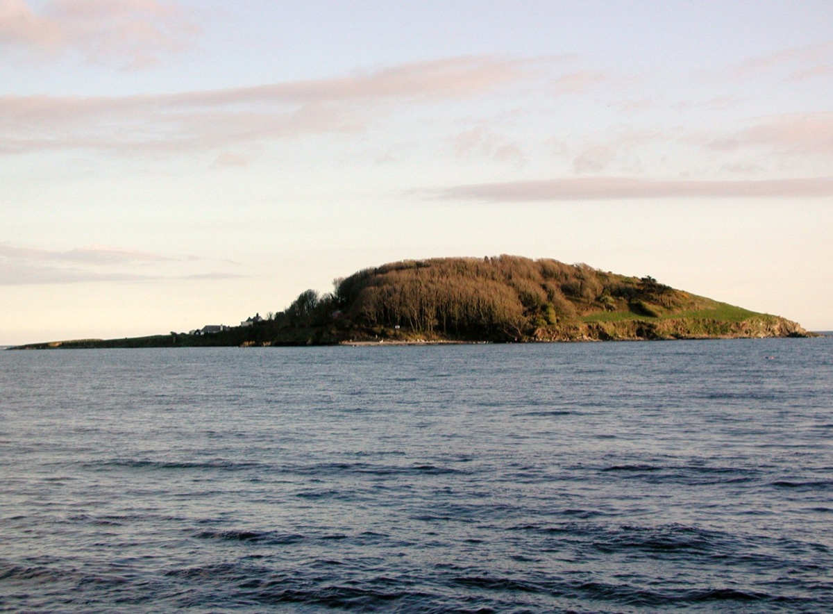 Looe Island Nature Reserve