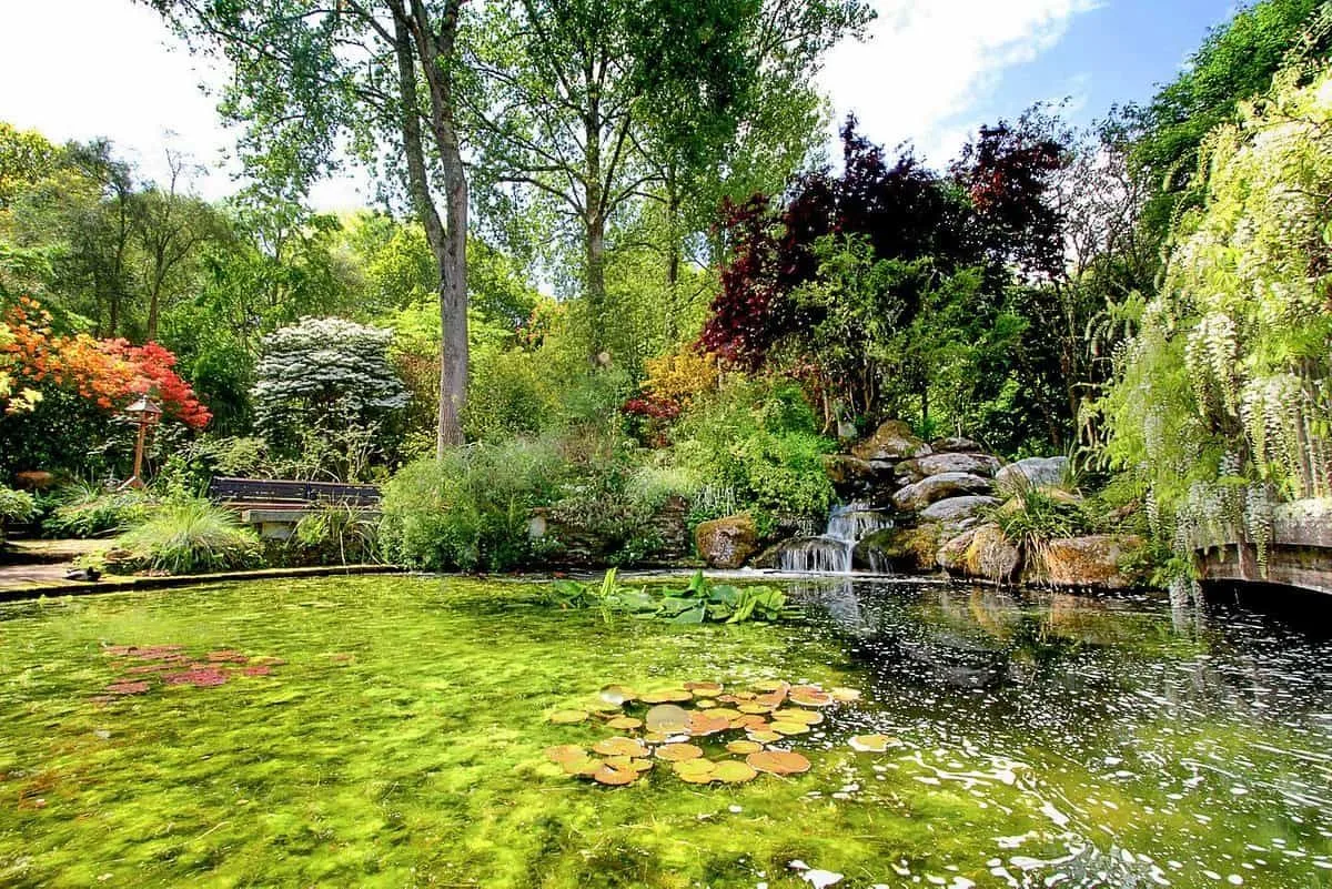 Things to Do in St Austell