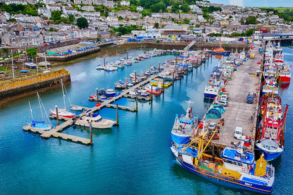 Cornish Sardine Festival 2026