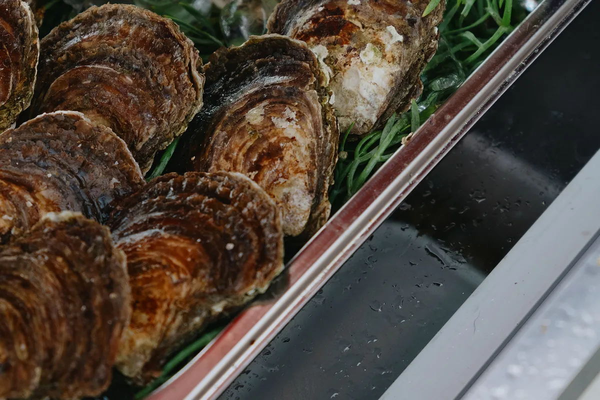 Falmouth Food Festival 2026