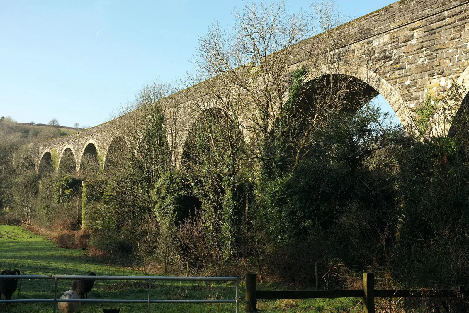 Coombe