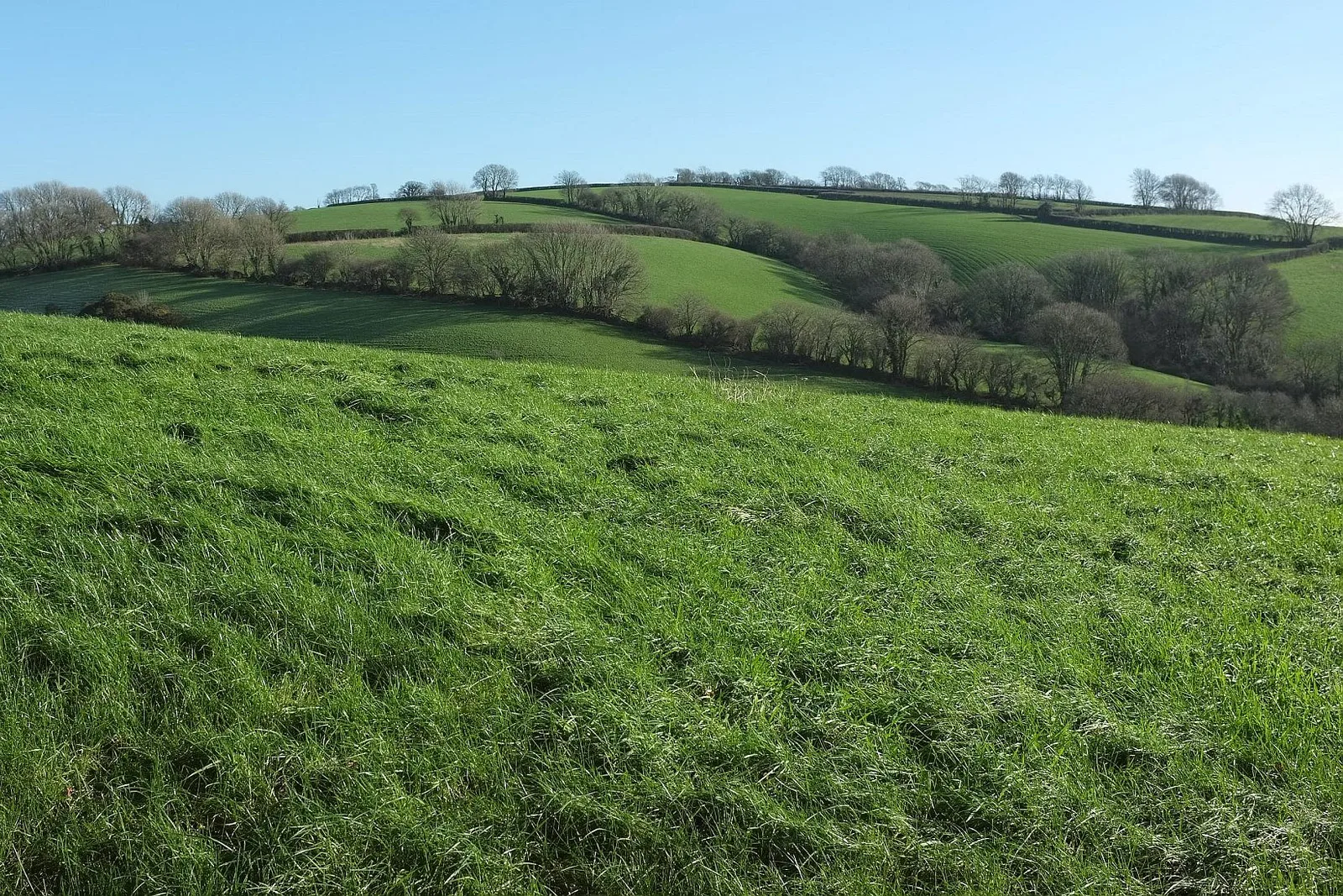 St Keyne
