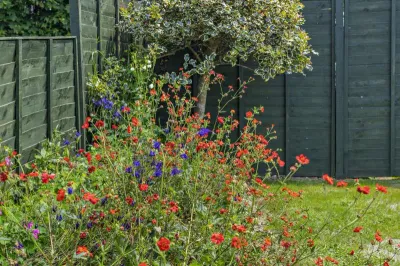 Bramble Cottage Trefanny Hill