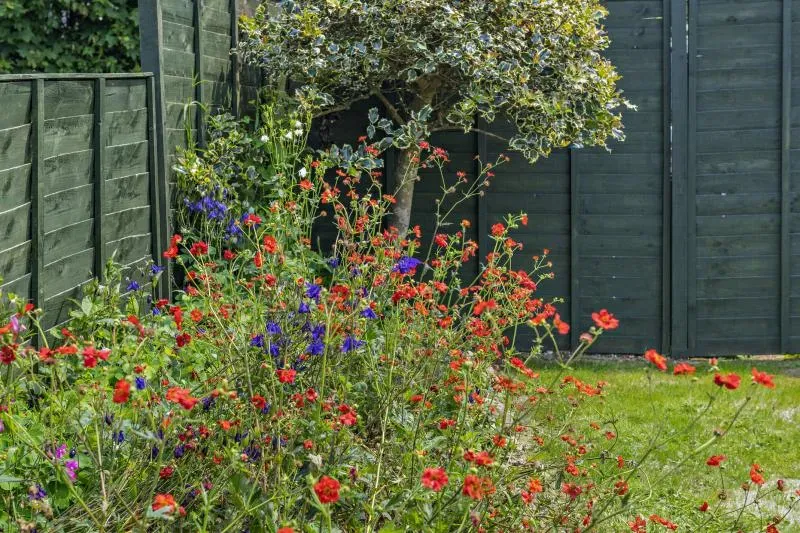 Bramble Cottage Trefanny Hill