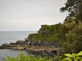 Castle View