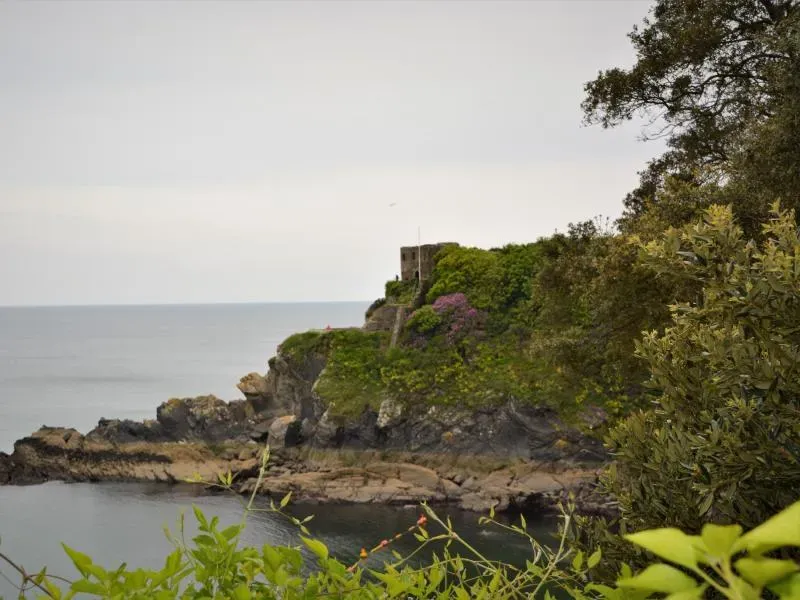 Castle View
