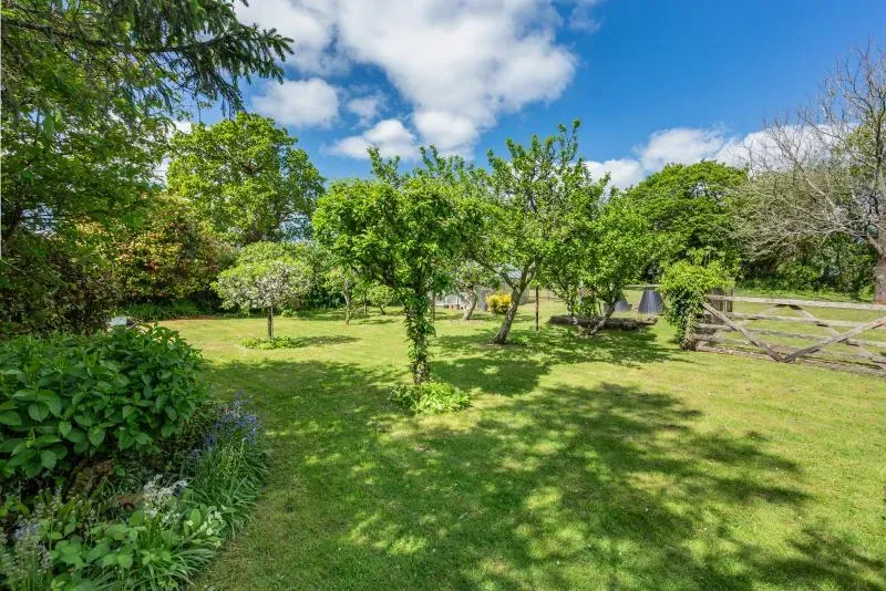 Coliza Farm