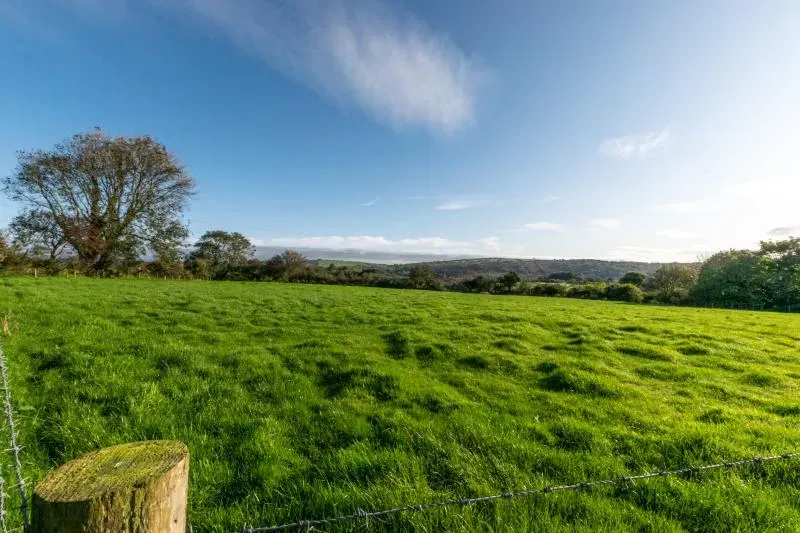Cross Park Farm Cottage Luxulyan