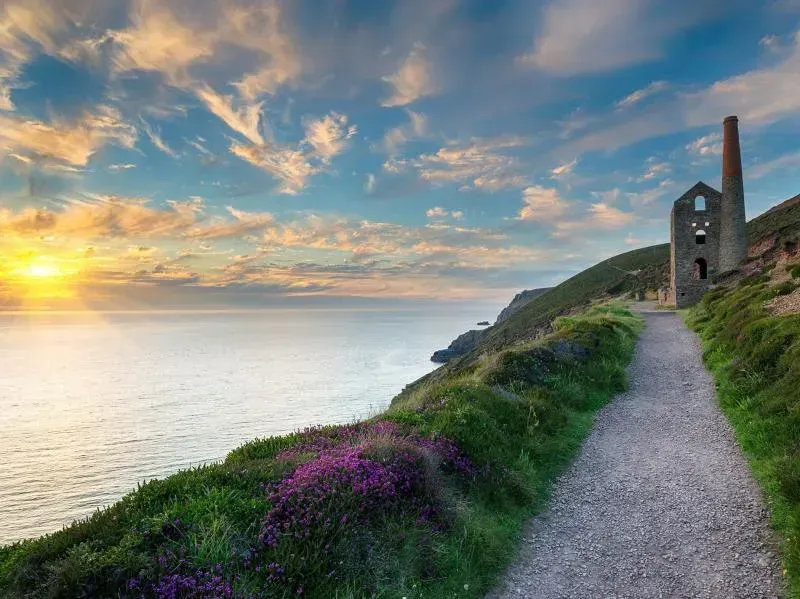 Cuckoo At Rosehill Lodges
