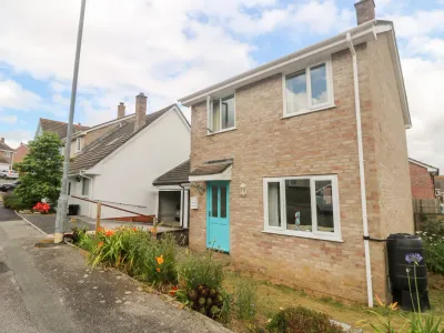 Dragonflies & Seahorses