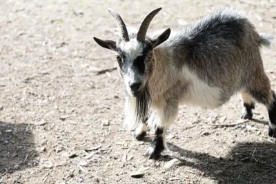 Ebb Roundhouse, East Thorne
