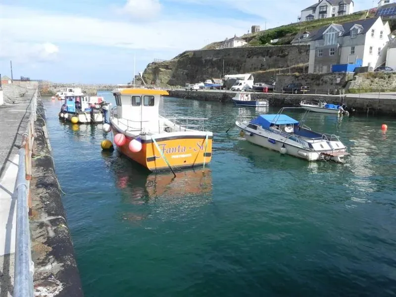 Fir Tree Cottage At Loscombe