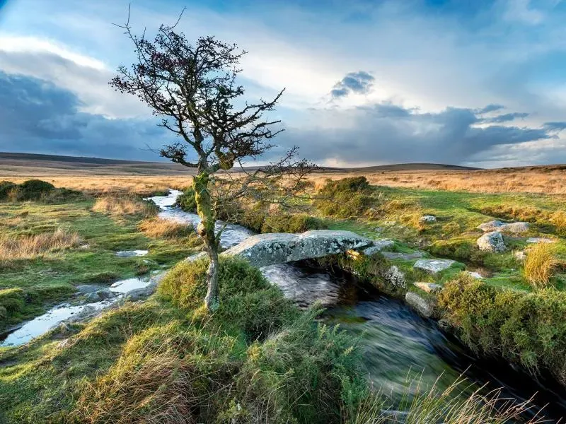 Fishermans Den