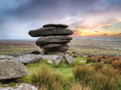 Forget Me Not Higher Worthyvale Farm