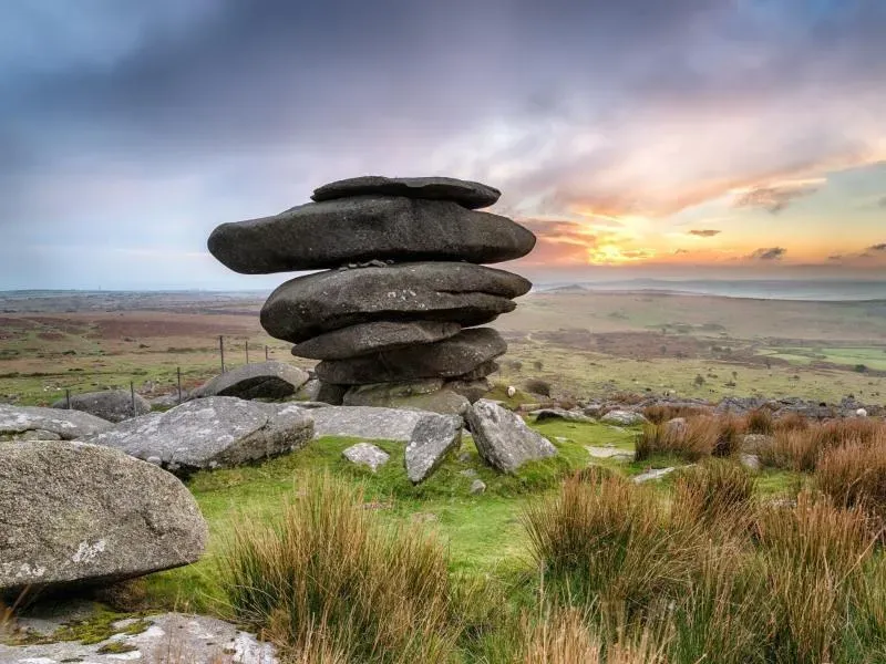 Forget Me Not Higher Worthyvale Farm