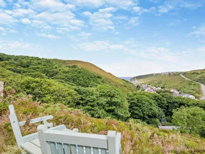 Four Owls At Rosehill Lodges