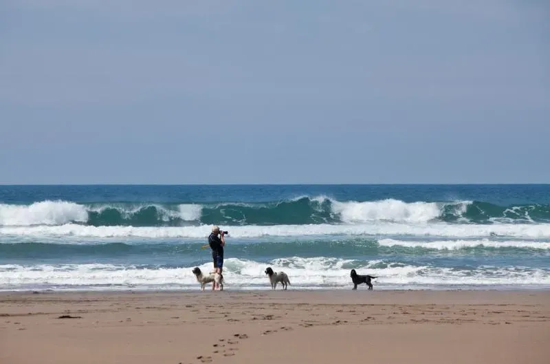 Home Farm Cottage Boscastle