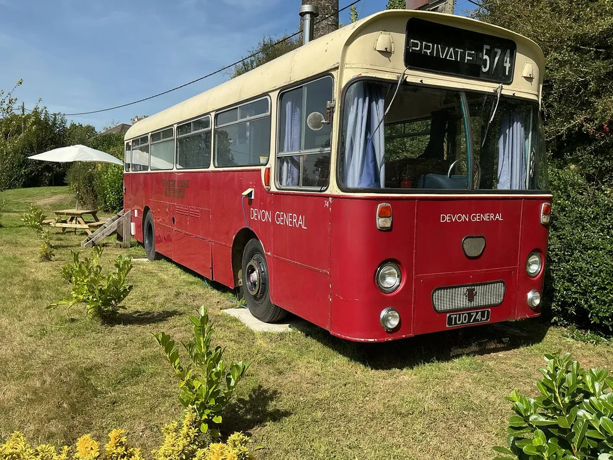 Honey Bus