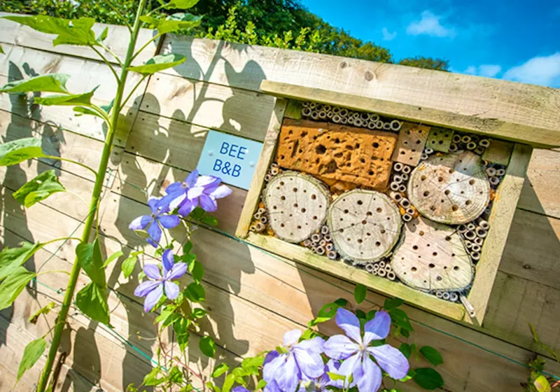 Killigarth Manor Holiday Park