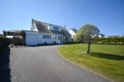 Kittiwake Constantine