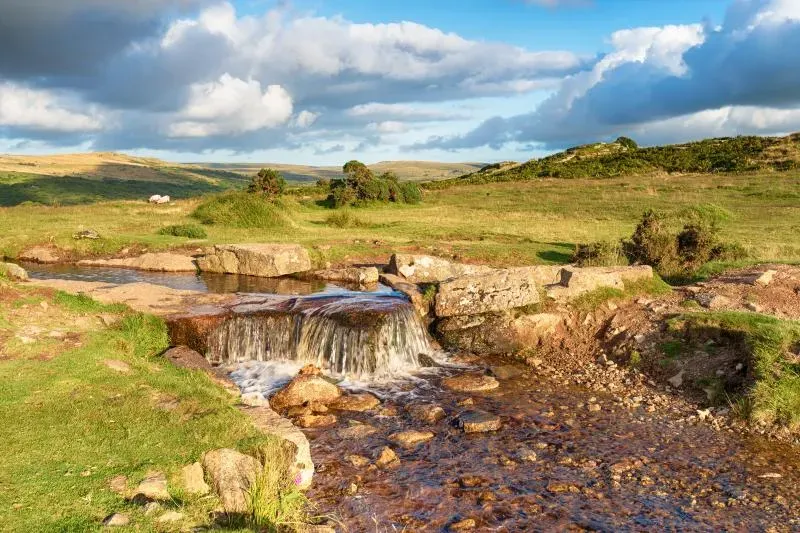 Latchley Meadows Lodge