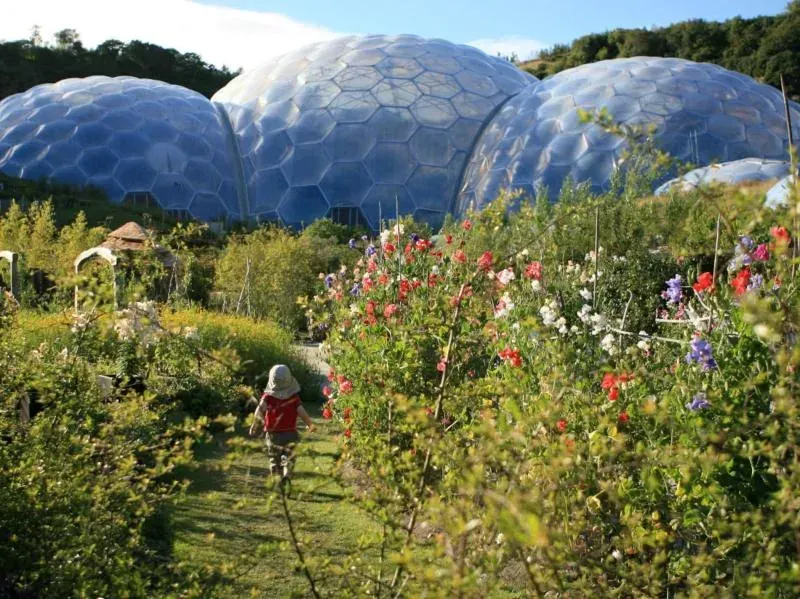 Little Roseveth Jasmine Cottage