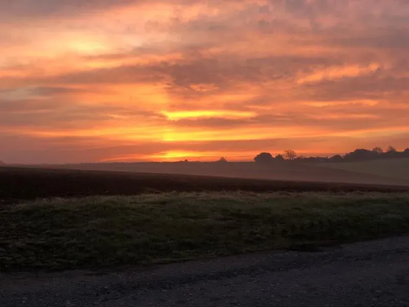 Meadows Higher Treyone