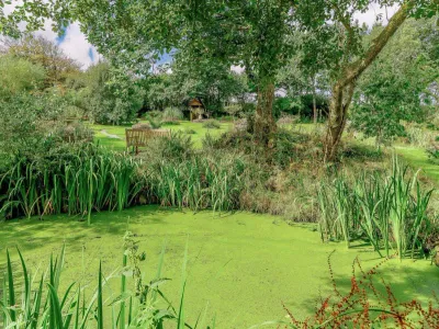 Mr Toads Moonlight Retreat