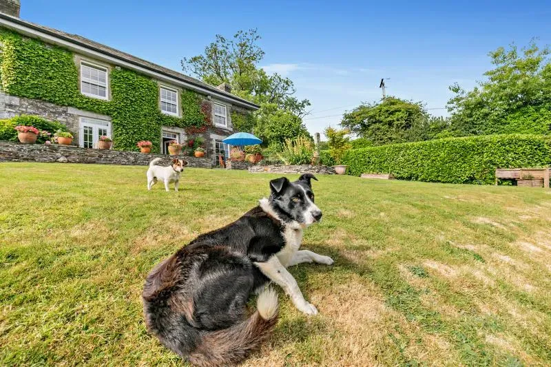North Coombe Farm