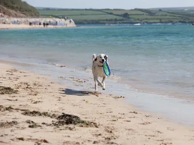 Padstow - The Linhay
