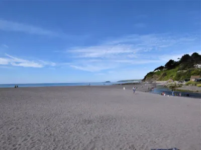 Palm View - Downderry