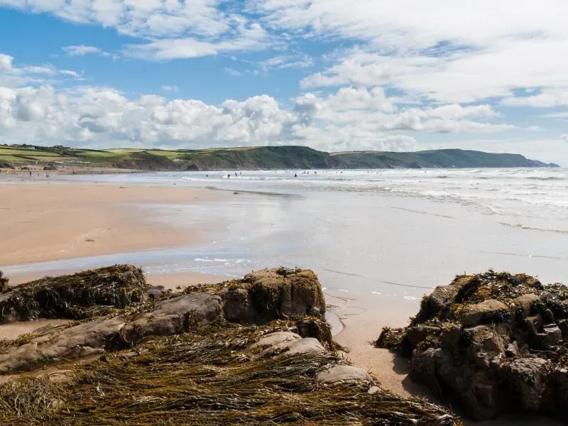 Pennycrocker Swallows Rest