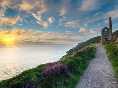 Robin At Rosehill Lodges