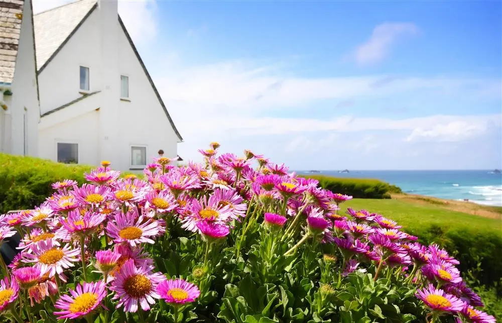 Roswidden on the cliff