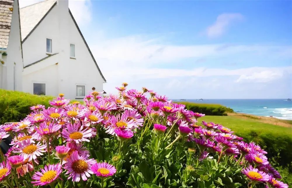 Roswidden on the cliff