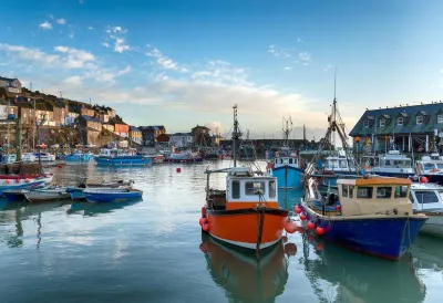 Salty Dog Charlestown