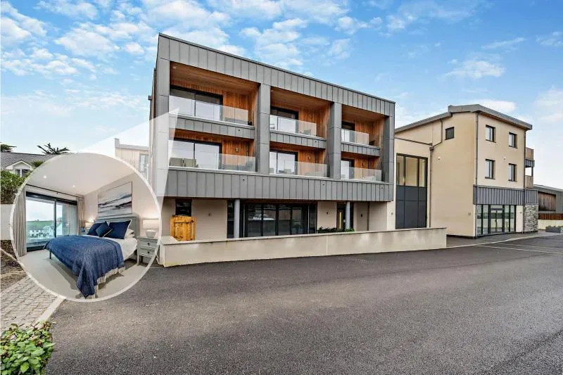 Sea Holly Harlyn Bay