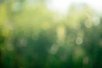 St Ives Holiday Village