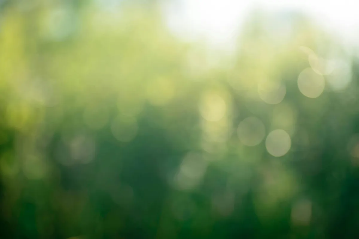 St Ives Holiday Village