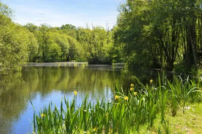 Tawny Cottage Cornwall