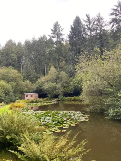 The Goose Nest luxury lakeside shepherd hut in Cardinham Woods, Cornwall