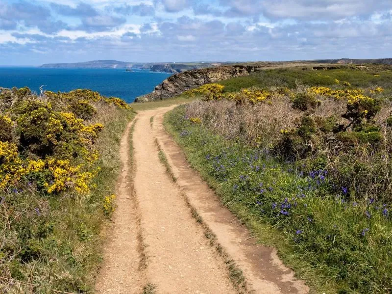 The Orangerie Portreath