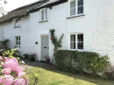 Trevean