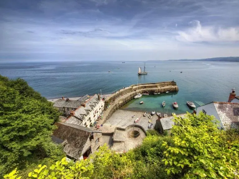 Vines Cottage Hartland