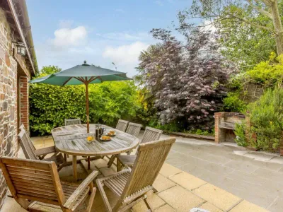 Waterloo Courtyard Sandmartins