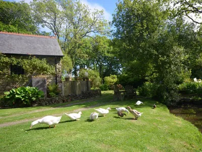 Wind In The Willows