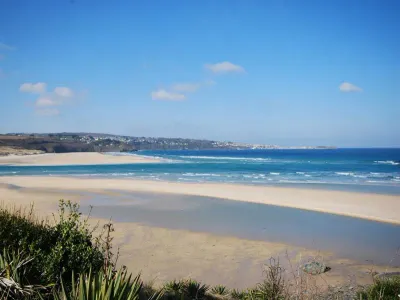 Woodpecker At Rosehill Lodges