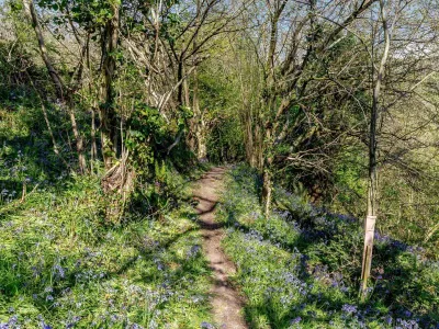 Woolstone The Wainhouse